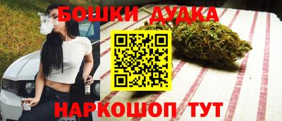 тгк Гай