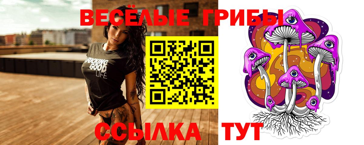 Белорецк  Галлюциногенные грибы Psilocybine cubensis  Вход с VPN 